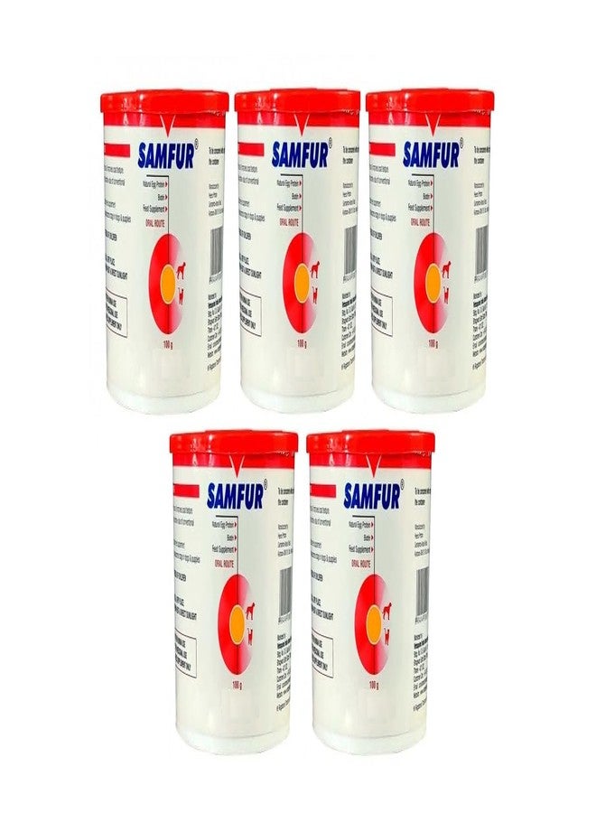 BULLYPET Samfur 100g (Protein Powder) (Pack of 5)